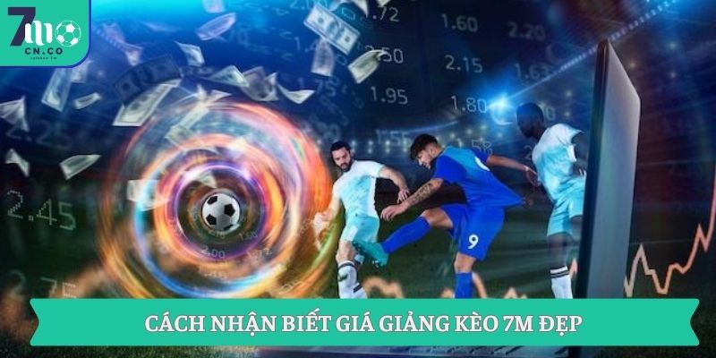Giới Thiệu Và Giải Thích Giá Giảng Kèo Chi Tiết Qua 7m 8 Cách nhận biết giá giảng kèo 7M đẹp